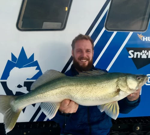 30 inch Lake Winnipeg Walleye | Icebound Excursions